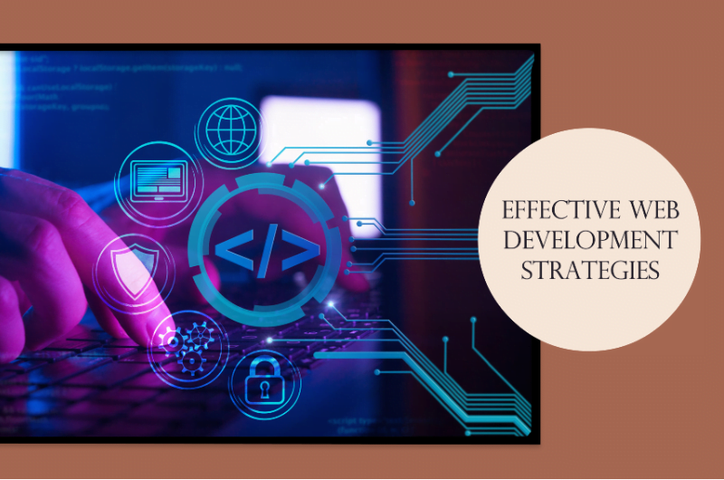 expert web development expert web development